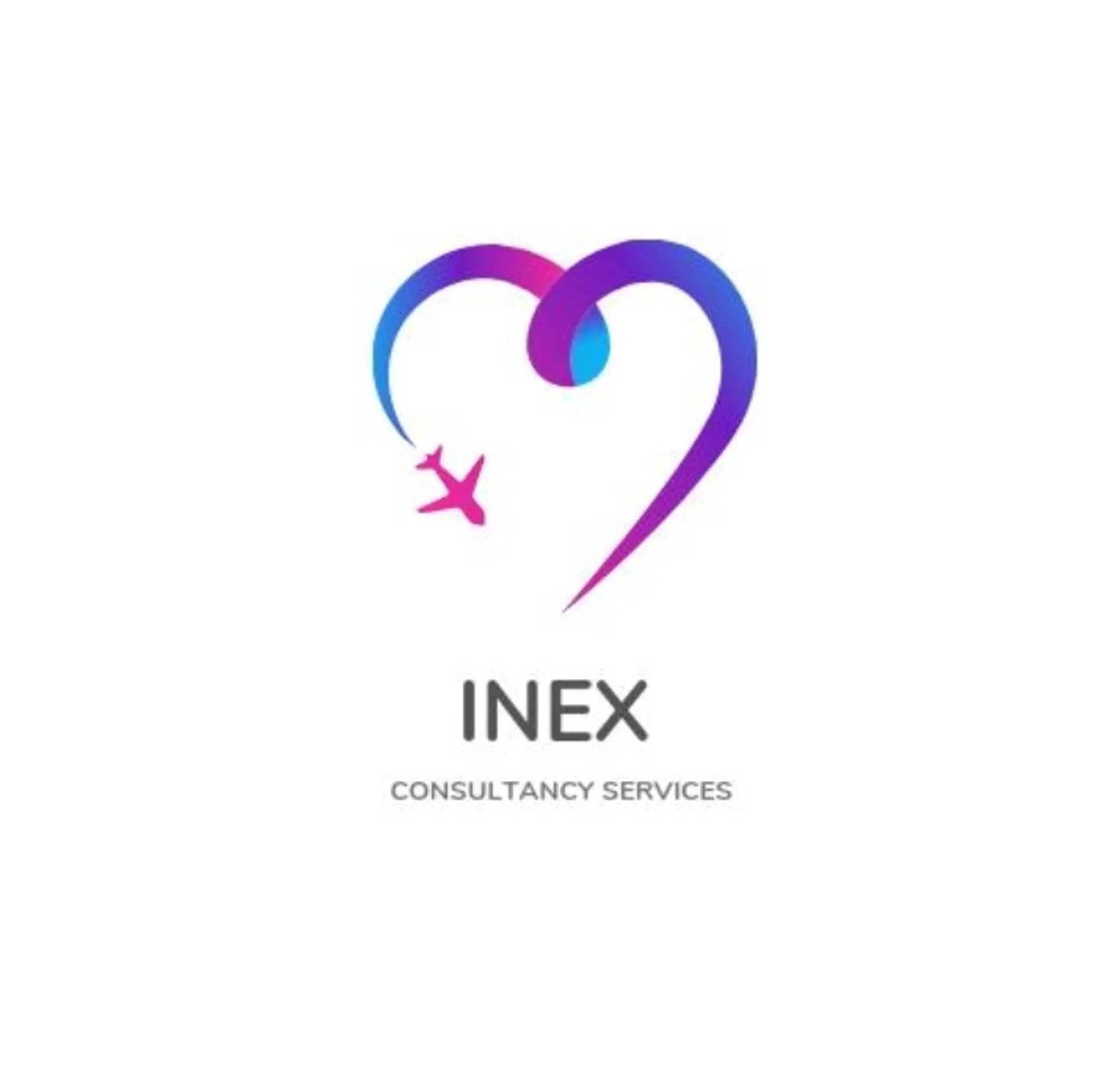 inesjournals
